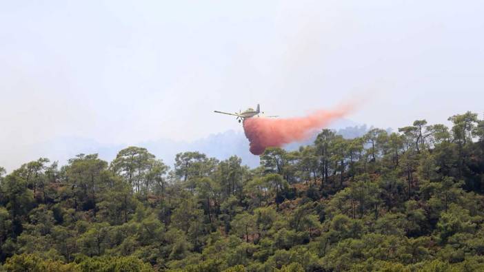 Muğla Fethiye'de orman yangını!