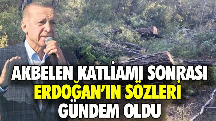 Akbelen'deki ağaç katliamı sonrası Erdoğan'ın o sözleri gündem oldu!