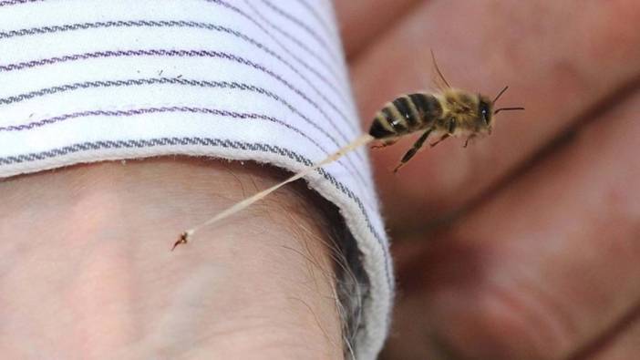 Bingöl'de arıların soktuğu adam hayatını kaybetti
