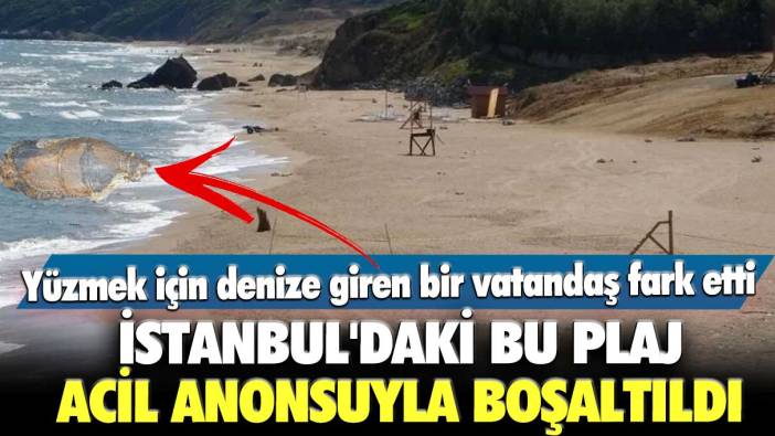 İstanbul Şile'deki plaj acil anonsuyla boşaltıldı! 30'a yakın patlamamış mayın tespit edildi