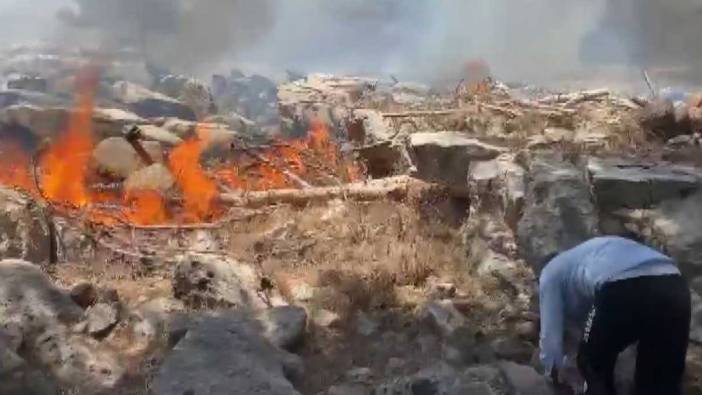 Adıyaman'da orman yangını: Söndürme çalışmaları başladı