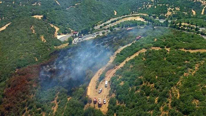 İzmir Ödemiş'te yanan araçtan sıçrayan alevler orman yangını çıkarttı