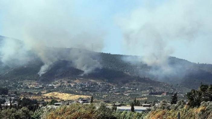Hatay’da orman yangını şüphesiyle 4 kişi gözaltına alındı