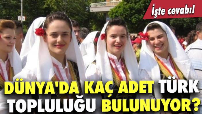 Dünya'da kaç adet Türk topluluğu bulunuyor?