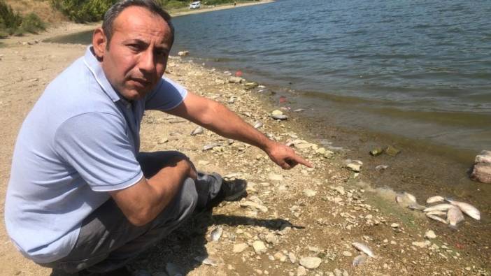 Boğazköy baraj gölünde ölen balıklar karaya vurdu