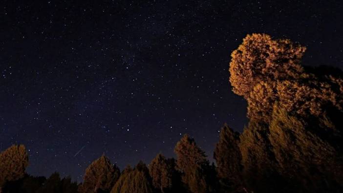 Perseid meteor yağmuru, Atatürk Üniversitesinde heyecanla izlendi