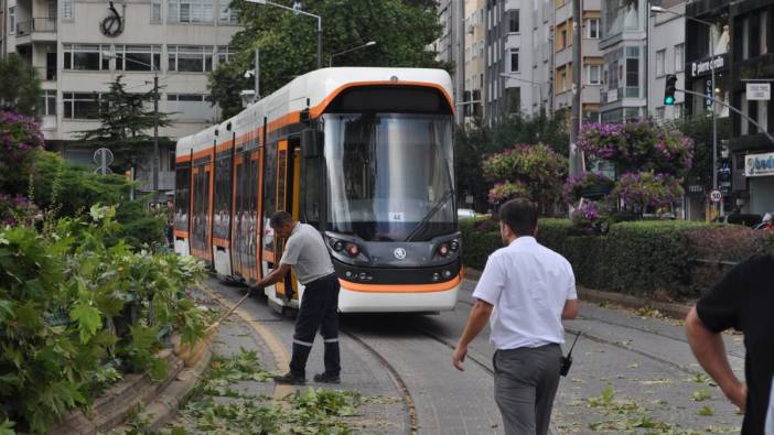 Eskişehir'de rüzgarda kırılan dal tramvay seferlerini aksattı