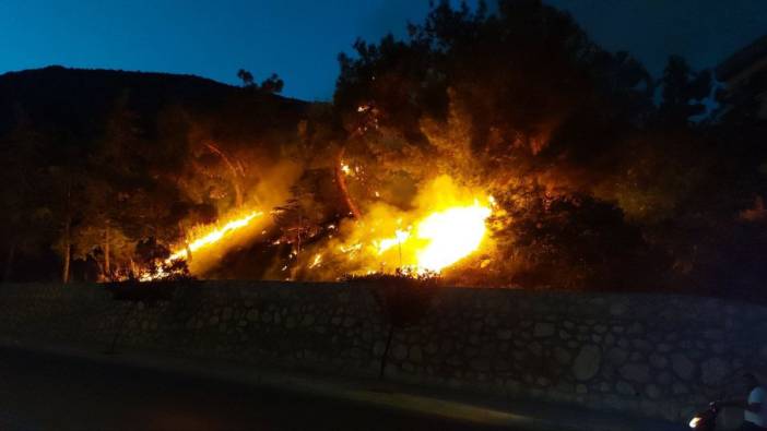 Amasya'da çıkan orman yangını söndürüldü