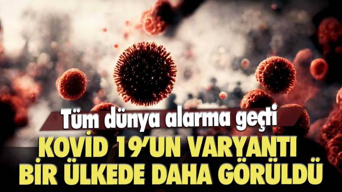 Tüm dünya alarma geçti: Kovid 19’un varyantı bir ülkede daha görüldü