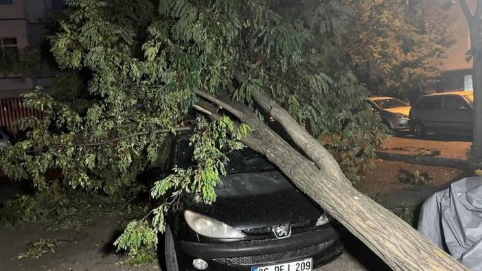 Ankara'da fırtınanın devirdiği ağaçlar arabaların üzerine devrildi