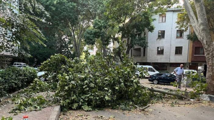 Ankara’da fırtına etkili oldu, ağaçlar araçların üzerine devrildi