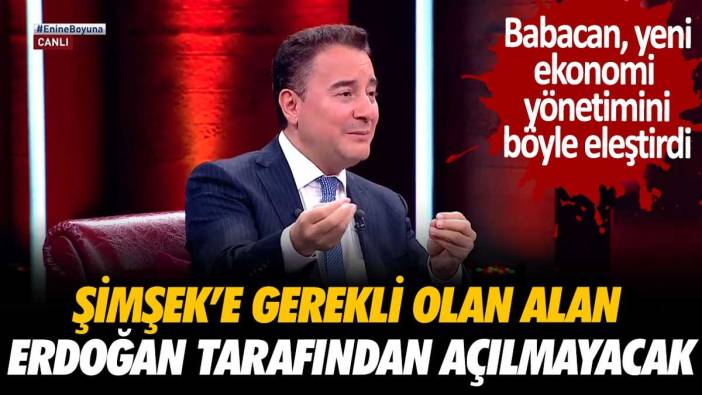 Ali Babacan'dan yeni ekonomi yönetimine eleştiri: "Erdoğan, Şimşek'e gerekli alanı açmayacak"