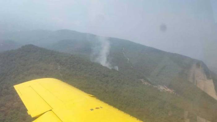 İzmir'de orman yangını: Ekiplerin müdahalesi sürüyor