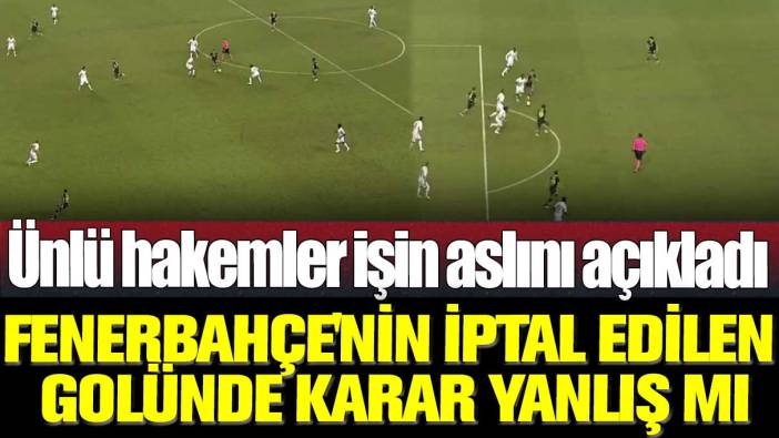 Fenerbahçe'nin iptal edilen golünde karar yanlış mı: Ünlü hakemler işin aslını açıkladı