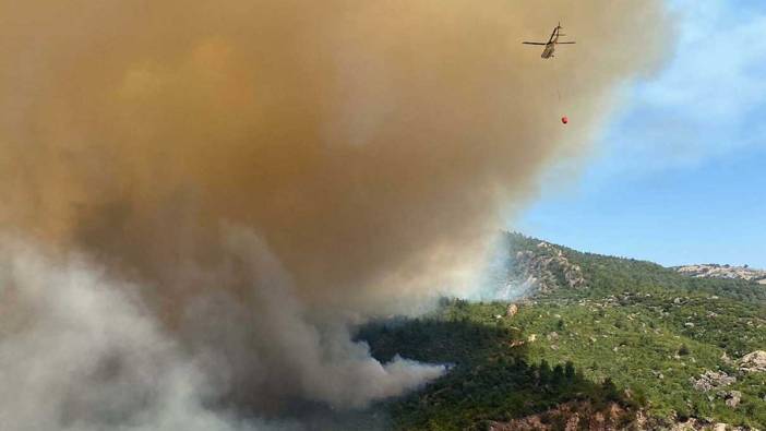 Çanakkale'de orman yangını çıktı: Müdahale devam ediyor