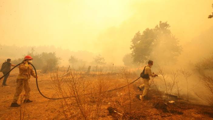 Sağlık Bakanı'ndan Çanakkale'deki yangınla ilgili açıklama