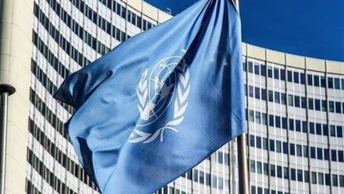 BM'den Ukrayna için ilave destek talebi
