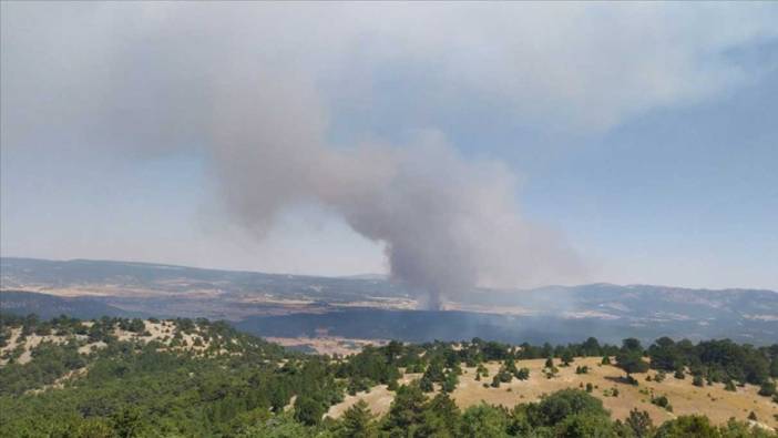 Eskişehir'de ormanlık alanda yangın: Müdahaleler sürüyor