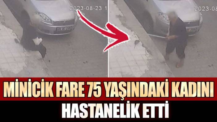 İzmir Karşıyaka'da bir fare 75 yaşındaki kadını hastanelik etti