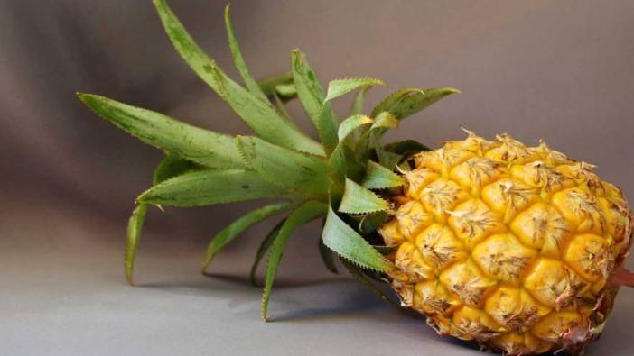 Vitamin deposu tropikal meyve ananasın sağlığa 10 faydası
