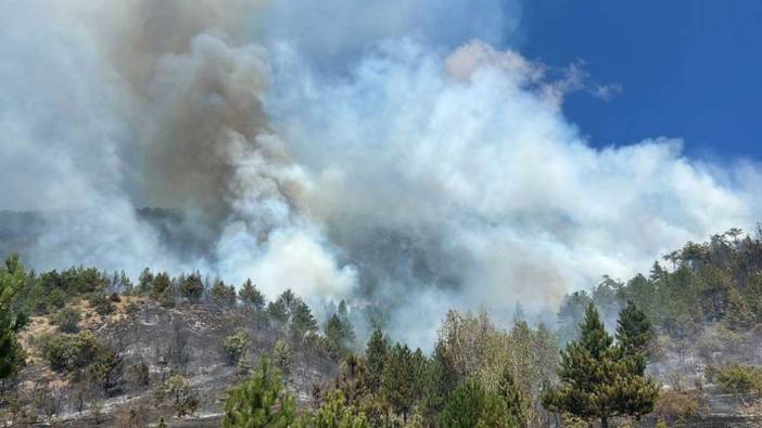 Çankırı Ilgaz'da orman yangını: Müdahaleler sürüyor