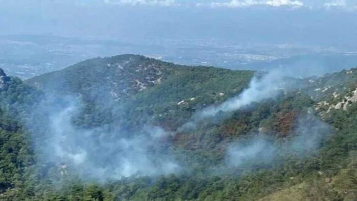 İzmir'de orman yangını: Kısmen kontrol altına alındı