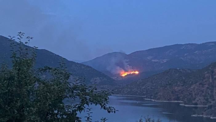 Laçin'de orman yangını