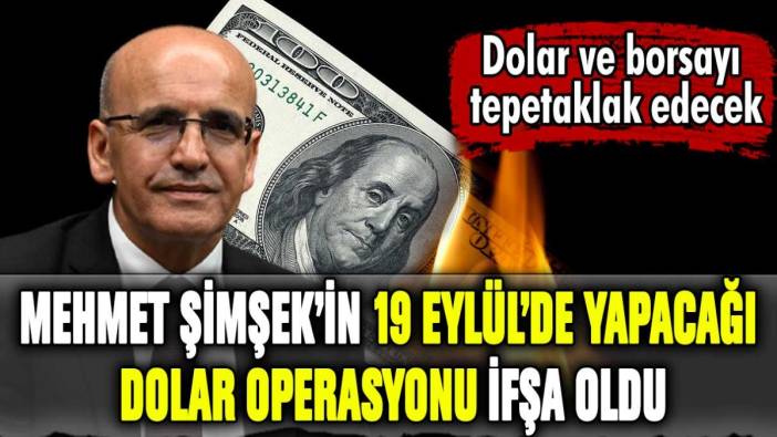 Mehmet Şimşek ve Merkez Bankası'nın 19 gün sonra yapacağı dolar operasyonunu ifşa oldu!