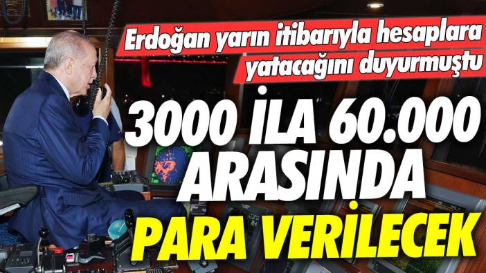 Erdoğan yarın itibarıyla hesaplara yatacağını duyurmuştu: 3500 ila 60000 lira arasında para verilecek