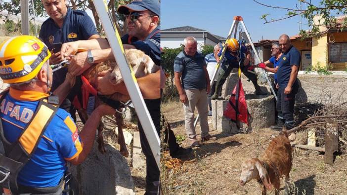 20 metrelik kuyuya düşen keçi, halatla kurtarıldı