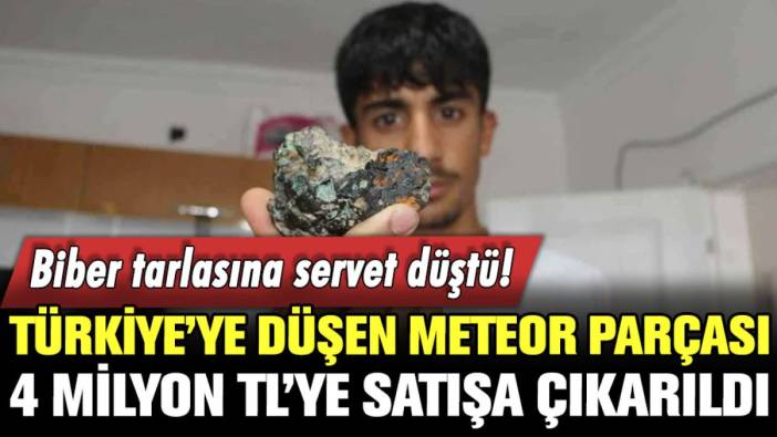 Diyarbakır'da biber tarlasına düşen meteor parçası 4 milyon TL'ye satılacak!