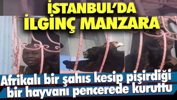 İstanbul'da ilginç manzara: Afrikalı bir şahıs kesip pişirdiği bir hayvanı pencerede kuruttu
