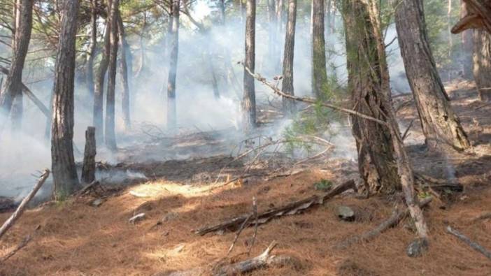 Çanakkale'de orman yangını: Havadan ve karadan müdahale ediliyor