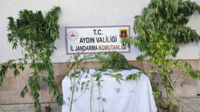 Aydın'da uyuşturucu operasyonu