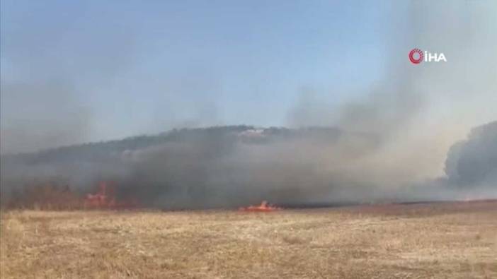 Balıkesir'de arazi yangını