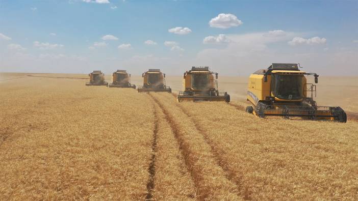 TİGEM işletmelerinden hasat rekoru: “392 bin ton”