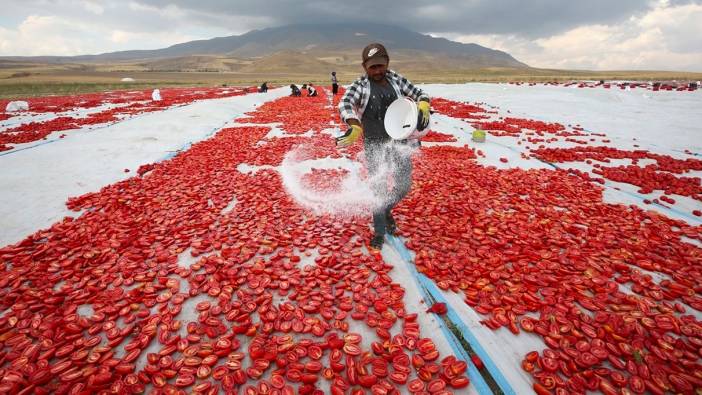 Bitlis'ten İtalya'ya kurutulmuş domates ihracatı