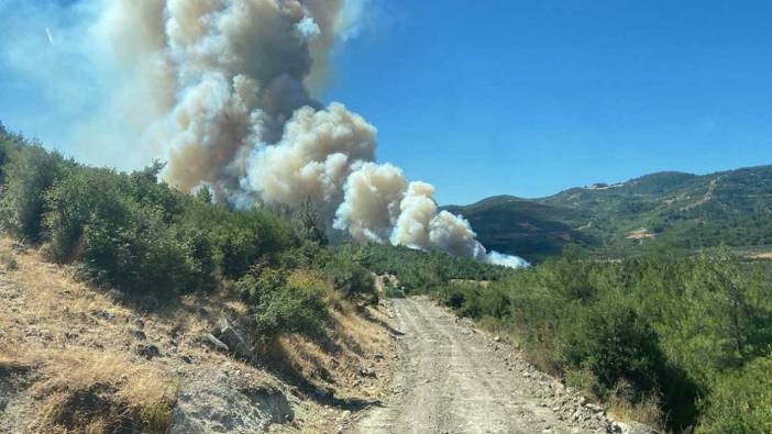 Manisa'da orman yangını: Ekiplerin müdahalesi sürüyor