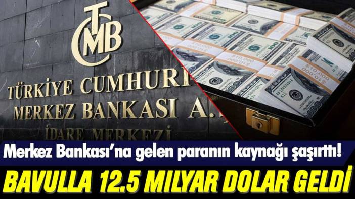 Merkez Bankası'na bavulla 12.5 milyar dolar geldi: Paranın kaynağı şaşırttı!