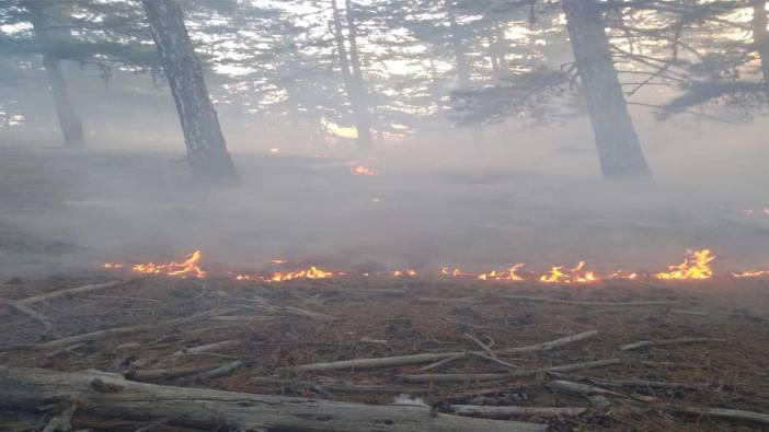 Adana Feke'de orman yangını!