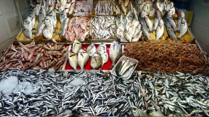 Çanakkale'de balık bolluğu: Fiyatlar düşüyor