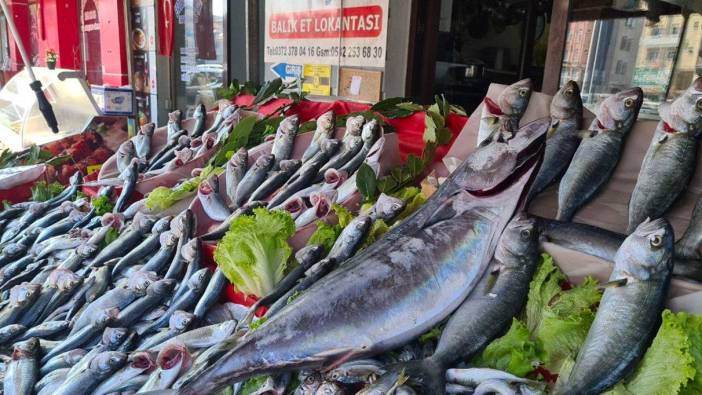 Sinop'ta 3 kilogramlık torikler 350 liradan satılıyor