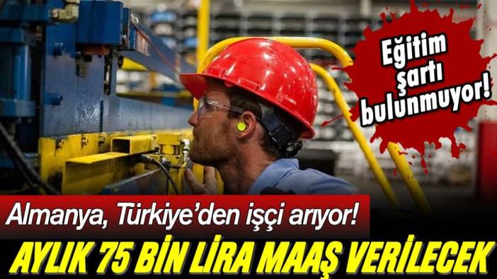 Almanya, Türkiye'den 75 bin lira maaşla işçi arıyor! Eğitim şartı aranmayacak...