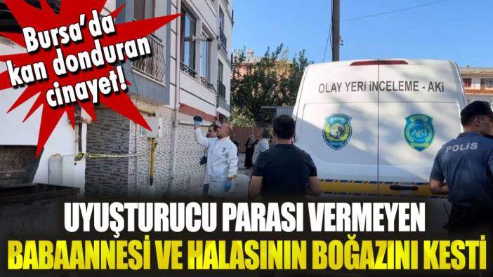 Bursa'da kan donduran cinayet: Uyuşturucu parası vermeyen babaannesi ve halasının boğazını kesti