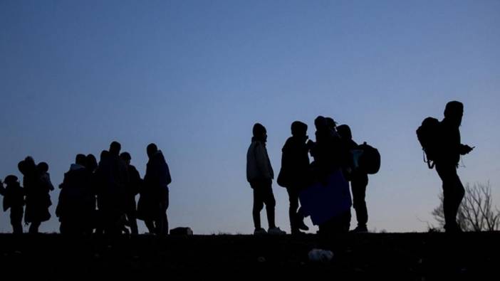 Edirne'de 454 düzensiz göçmen yakalandı