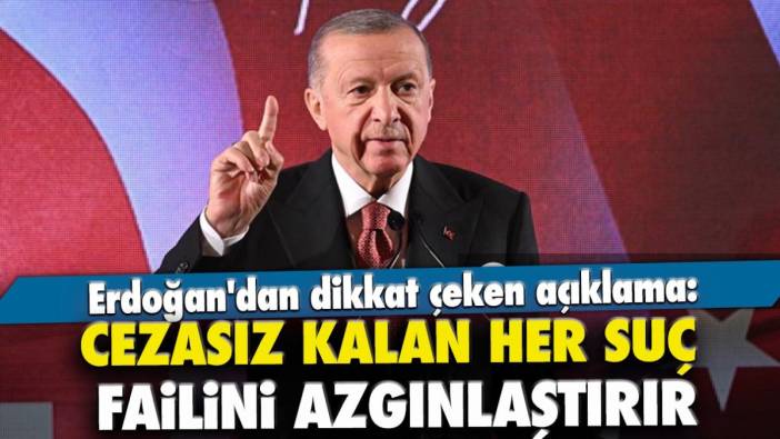 Erdoğan'dan dikkat çeken açıklama: Cezasız kalan her suç failini azgınlaştırır