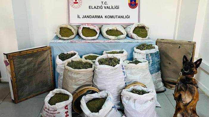 Elazığ’da dev uyuşturucu operasyonu: 241 kilo esrar ele geçirildi