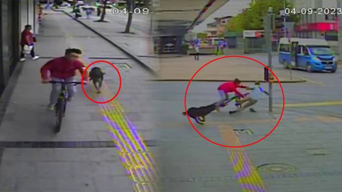 Sakarya'da akıl almaz kaza: Sokak köpeğinin kovaladığı bisikletli yayaya çarptı