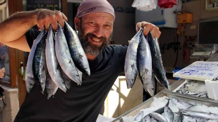Karadeniz'de balıkçıların palamuttan yana yüz gülüyor