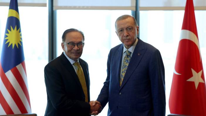 Cumhurbaşkanı Erdoğan, Malezya Başbakanı İbrahim'i kabul etti